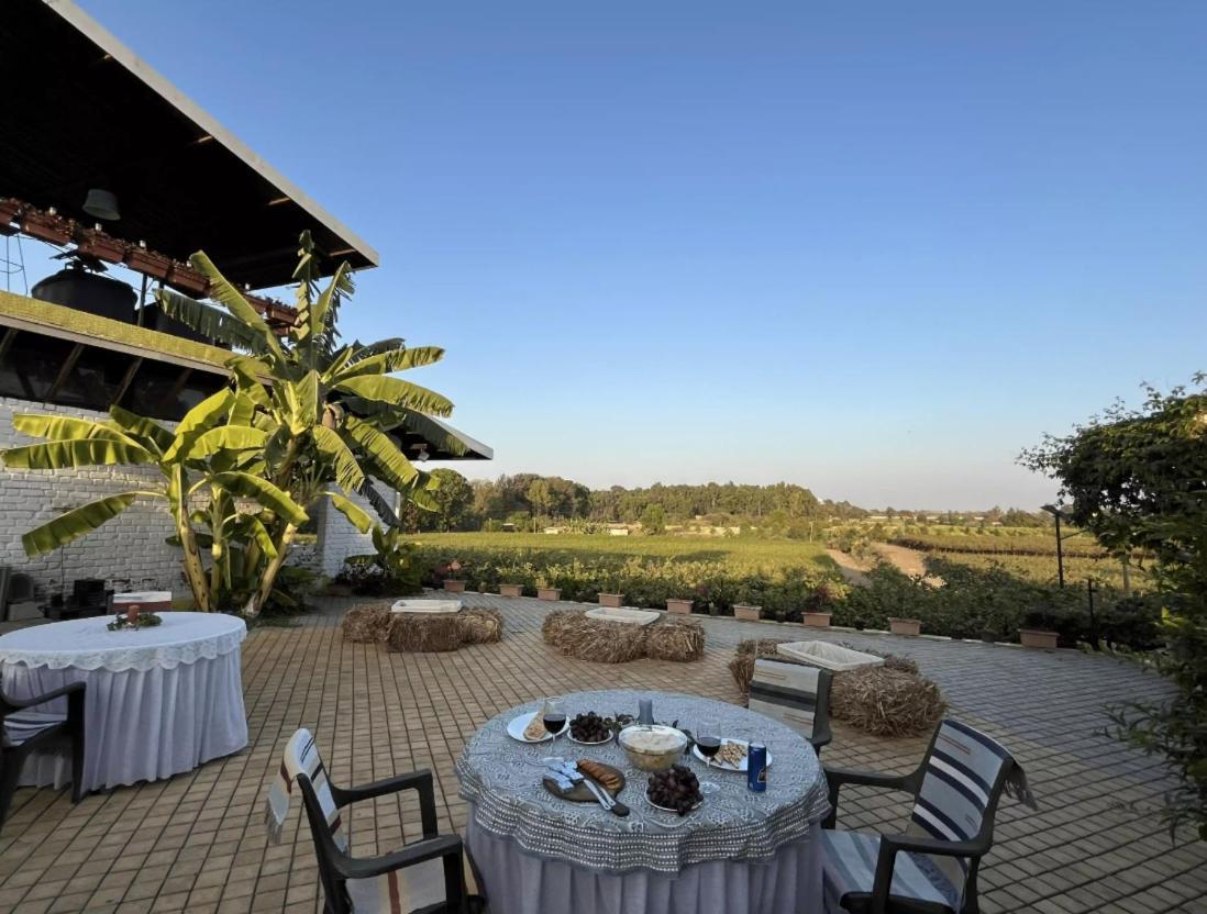 Saffronstays Onellaa, Nashik - Infinity Pool Villa Surrounded By A Vineyard Eksteriør bilde